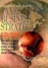 Taxes and Business Strategy