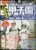 がっつり!甲子園 2017