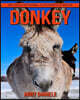 Donkey! An Educational Children's Book about Donkey with Fun Facts & Photos