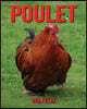 Poulet: Le Livre Des Informations Amusantes Pour Enfant & Incroyables Photos d'Animaux Sauvages - Le Merveilleux Livre Des Pou