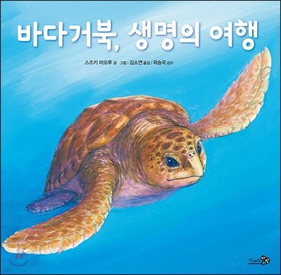 바다거북, 생명의 여행