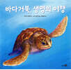 바다거북, 생명의 여행