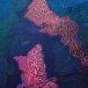 신해경 - 나의 가역 반응 [제 7회 서울레코드페어 한정반 LP]
