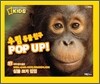 우림 동물 친구 POP UP!