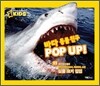 바다 동물 친구 POP UP!