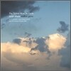 Tallest Man On Earth - Shallow Grave