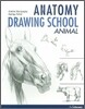 Anatomy Drawing School: Animal