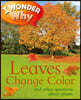 I Wonder Why Leaves Change Color