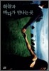 하늘과 바다가 만나는 곳