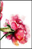 Journal Your Life's Story: Watercolor Pink Flowers Journal, Lined Journal, Diary Notebook 6 x 9, 150 Pages