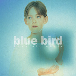 Boys Air Choir - Blue Bird - 보이즈 에어 콰이어