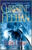 Carpathian Novels #19 : Dark Curse