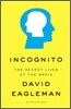 Incognito