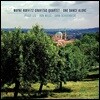 Wayne Horvitz Gravitas Quartet (웨인 호르비츠 그라비타스 쿼텟) - One Dance Along