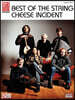 Best of the String Cheese Incident