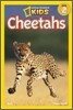 National Geographic Kids Readers Level 2 : Cheetahs