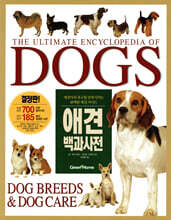 DOGS 애견백과사전