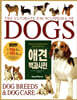 DOGS 애견백과사전
