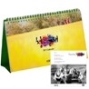 청춘불패 2011 캘린더 + 1주년 특집방송 DVD : 예스24 독점판매상품