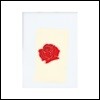 LANY (레이니) - LANY 데뷔 앨범