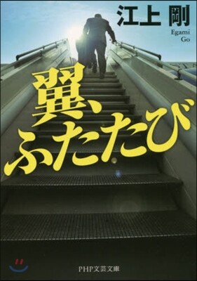 翼,ふたたび