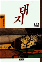 대지
