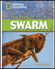 The Perfect Swarm