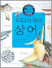 바다의 폭군 상어