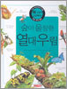 숲이 울창한 열대우림