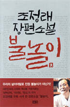불놀이