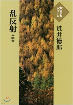 亂反射(中)