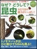 なぜ?どうして?昆蟲