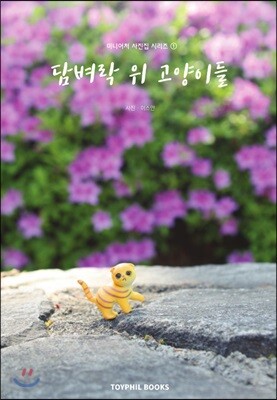 담벼락 위 고양이들