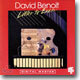David Benoit - Letter To Evan