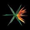 엑소 (EXO) 4집 - The War [Chinese ver.][3종 ver. 랜덤 출고]