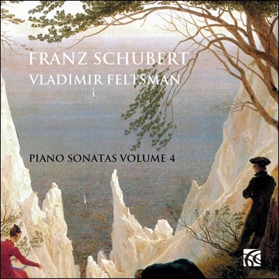 Vladimir Feltsman 슈베르트: 피아노 작품 4집 - 소나타 D.784 & D.959 (Schubert: Piano Music Vol. 4 - Sonatas) 블라디미르 펠츠만