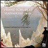Vladimir Feltsman 슈베르트: 피아노 작품 4집 - 소나타 D.784 & D.959 (Schubert: Piano Music Vol. 4 - Sonatas) 블라디미르 펠츠만