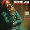Marvin Gaye (마빈 게이) - Let's Get It on... Live [레드 컬러 2 LP]