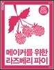 메이커를 위한 라즈베리 파이