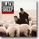 Black Sheep - A Wolf In Sheep's Clothing