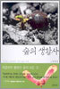 숲의 생활사