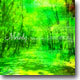 Dimension - Melody ~Waltz For Forest