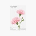 [어프리] 어프리 스티키리프_카네이션 Pink M 10묶음
