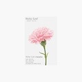 [어프리] 어프리 스티키리프_카네이션 Pink S 10묶음