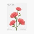 [어프리] 어프리 스티키리프_카네이션 Red L 10묶음
