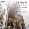 David Goode 프라이베르크 대성당의 1714년 질베르만 오르간으로 연주하는 바흐 - 데이비드 구드 (J.S. Bach by 1714 Silbermann Organ of Freiberg Cathedral)