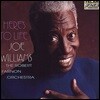Joe Williams (조 윌리암스) - Here'S To Life