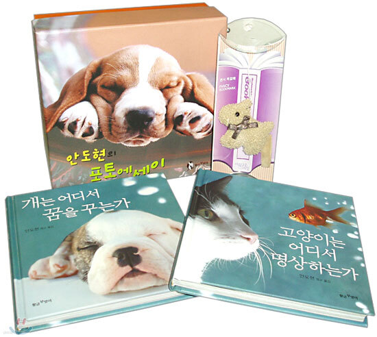 안도현의 포토에세이