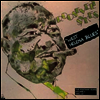 Roosevelt Sykes - West Helena Blues (CD)