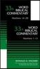 Matthew (2-Volume Set---33a and 33b)